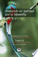 Paseando mi Soledad por la Montaña. Tomo VI