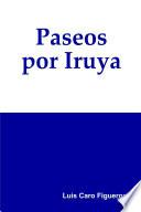 Paseos por Iruya
