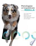 Patologías ortopédicas de la rodilla
