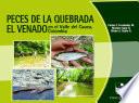 Peces de la quebrada El Venado en el Valle del Cauca, Colombia