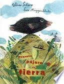 Pequeno Pajaro de Tierra