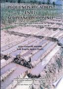 Pequeños regadíos en el altiplano potosino
