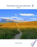 PERFECTOS SON TUS CAMINOS 5