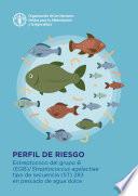 Perfil de riesgo – Estreptococo del grupo B (EGB) / Streptococcus agalactiae tipo de secuencia (ST) 283 en pescado de agua dulce