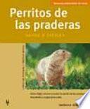 Perritos de las praderas