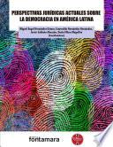 Perspectivas jurídicas actuales sobre la democracia en América Latina