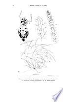Physis