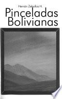 Pinceladas Bolivianas