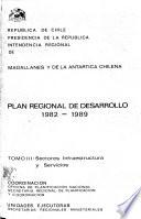 Plan regional de desarrollo, 1982-1989: Sectores infraestructura y servicios
