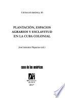 Plantación, espacios agrarios y esclavitud en la Cuba colonial