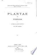 Plantae per Fuegiam a Carolo Spegazzini anno 1882 collectae