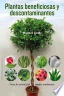 Plantas beneficiosas y descontaminantes