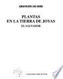 Plantas en la tierra de joyas