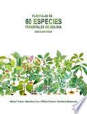 Plántulas de 60 especies forestales de Bolivia