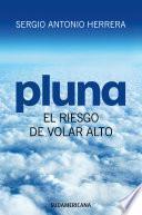 PLUNA, el riesgo de volar alto