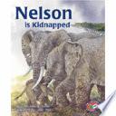 PM Story Book Silver Set A, B and C: Teachers' Guide