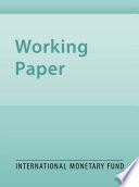 Policy Reform, Adjustment Costs, and Investment