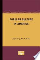 Popular Culture in America