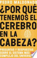 ¿Por qué tenemos el cerebro en la cabeza?