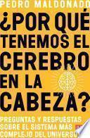 ¿por Qué Tenemos El Cerebro En La Cabeza?