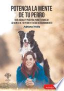 Potencia la mente de tu perro