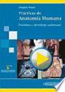 Prácticas de Anatomía Humana. Enseñanza y aprendizaje audiovisual