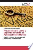 Prevención del Delito y Seguridad Pública en Aguascalientes Mexico