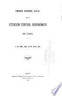 Primer informe anual