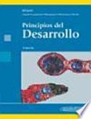 Principios del Desarrollo