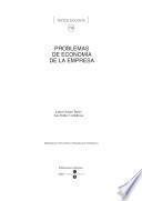 Problemas de economía de la empresa