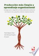 Producción más limpia y aprendizaje organizacional