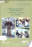 Propuesta de programa capacitación para la agroindustria de la palma de aceite en Colombia