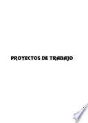 Proyectos de Trabajo