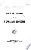 Proyectos e informes