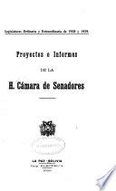 Proyectos e Informes
