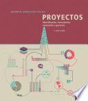 Proyectos