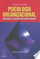 Psicología organizacional