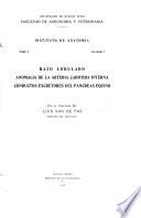 Publicaciones