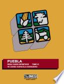 Puebla. Resultados definitivos. Tomo VI. VII Censo Agrícola-Ganadero