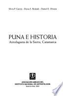 Puna e historia