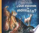 ¿Qué esconde la montaña?