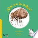 ¿Qué son las pulgas?