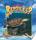 Qué son los reptiles?