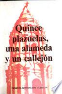 Quince plazuelas, una alameda y un callejón