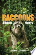 Raccoons
