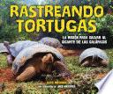 Rastreando tortugas (Tracking Tortoises)