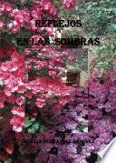 Reflejos en las sombras