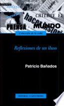 Reflexiones de un iluso