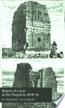 Report of a Tour in the Punjab in 1878-79