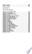 Repostería mexicana